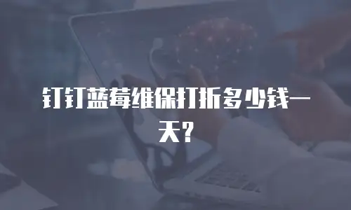 钉钉蓝莓维保打折多少钱一天？