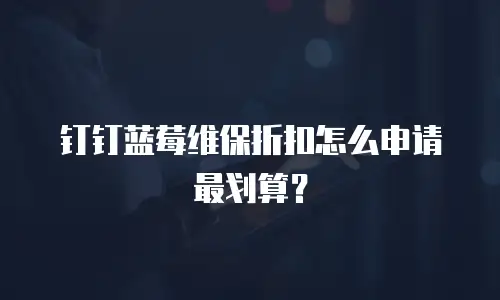 钉钉蓝莓维保折扣怎么申请最划算？