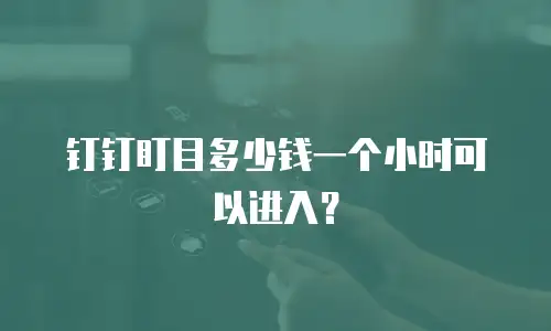 钉钉盯目多少钱一个小时可以进入？