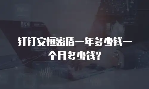 钉钉安恒密盾一年多少钱一个月多少钱？