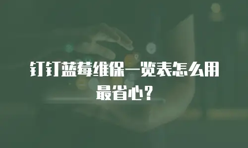 钉钉蓝莓维保一览表怎么用最省心？