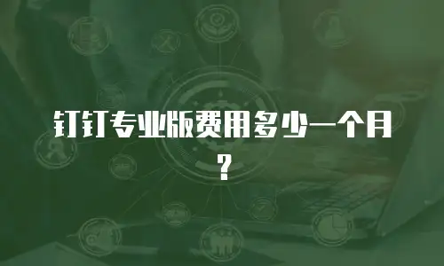 钉钉专业版费用多少一个月？