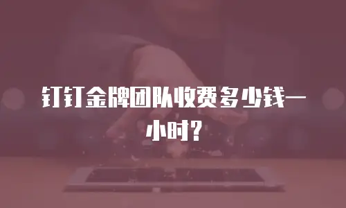 钉钉金牌团队收费多少钱一小时？