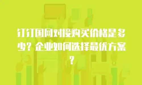 钉钉国网对接购买价格是多少？企业如何选择最优方案？