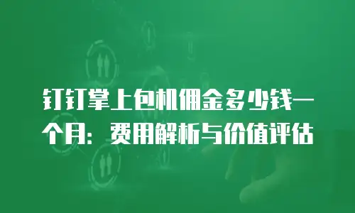 钉钉掌上包机佣金多少钱一个月：费用解析与价值评估