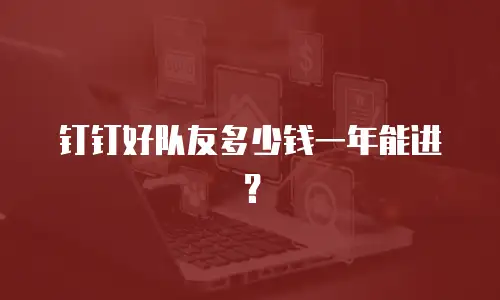 钉钉好队友多少钱一年能进？