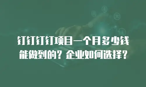 钉钉钉钉项目一个月多少钱能做到的？企业如何选择？