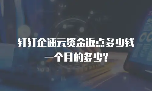 钉钉企速云资金返点多少钱一个月的多少？