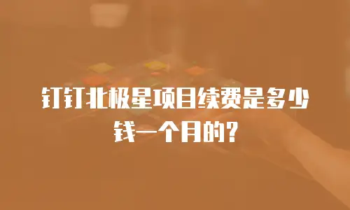钉钉北极星项目续费是多少钱一个月的？
