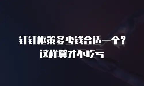 钉钉枢策多少钱合适一个？这样算才不吃亏