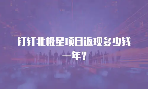 钉钉北极星项目返现多少钱一年？