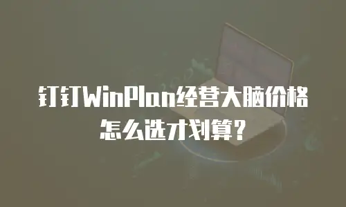 钉钉WinPlan经营大脑价格怎么选才划算？