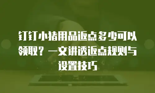 钉钉小猪用品返点多少可以领取？一文讲透返点规则与设置技巧