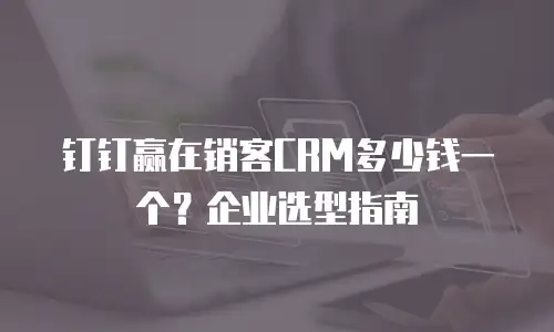 钉钉赢在销客CRM多少钱一个？企业选型指南