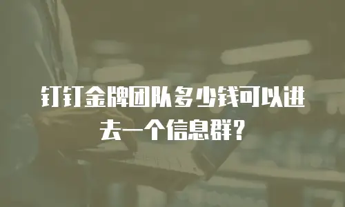 钉钉金牌团队多少钱可以进去一个信息群？