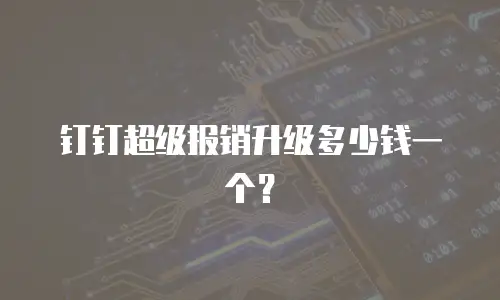 钉钉超级报销升级多少钱一个？