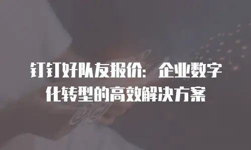 钉钉好队友报价：企业数字化转型的高效解决方案
