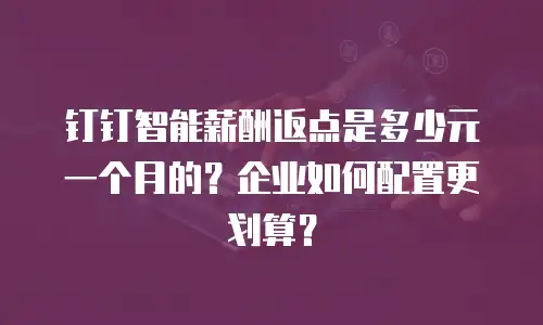 钉钉智能薪酬返点是多少元一个月的？企业如何配置更划算？