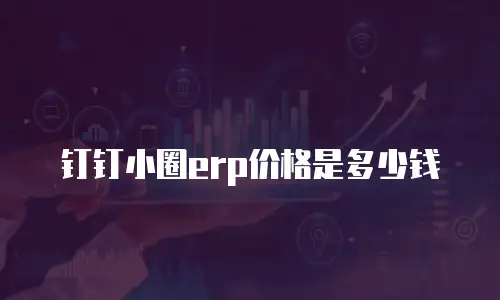 钉钉小圈erp价格是多少钱