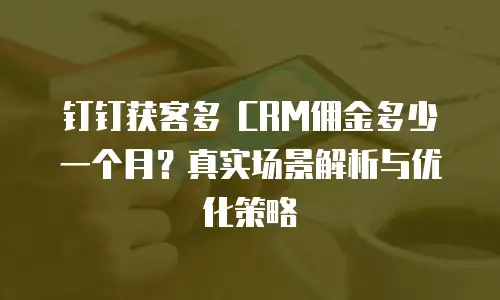 钉钉获客多 CRM佣金多少一个月？真实场景解析与优化策略