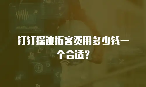 钉钉探迹拓客费用多少钱一个合适？