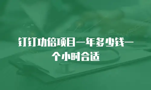 钉钉功倍项目一年多少钱一个小时合适
