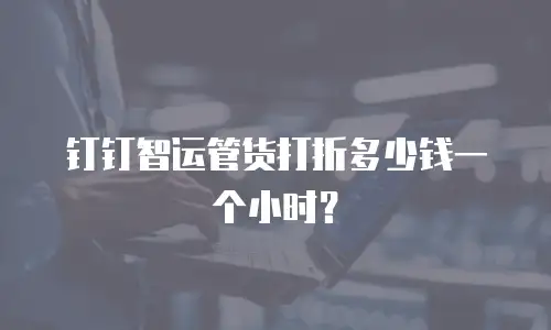 钉钉智运管货打折多少钱一个小时？