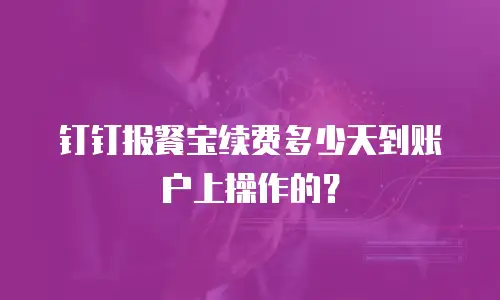 钉钉报餐宝续费多少天到账户上操作的？