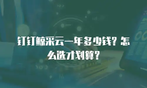 钉钉鲸采云一年多少钱？怎么选才划算？