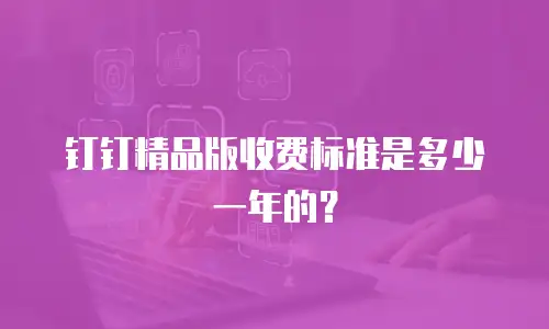 钉钉精品版收费标准是多少一年的？