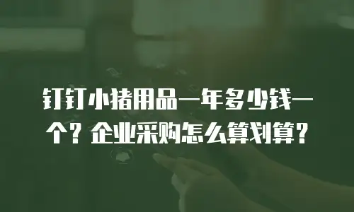 钉钉小猪用品一年多少钱一个？企业采购怎么算划算？