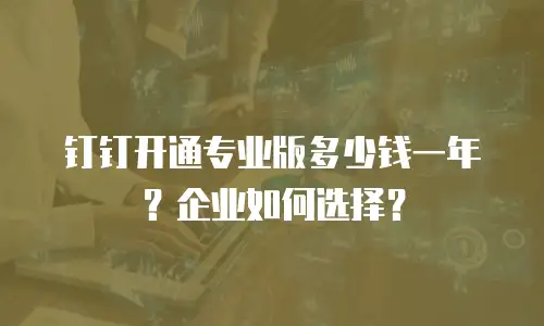 钉钉开通专业版多少钱一年？企业如何选择？