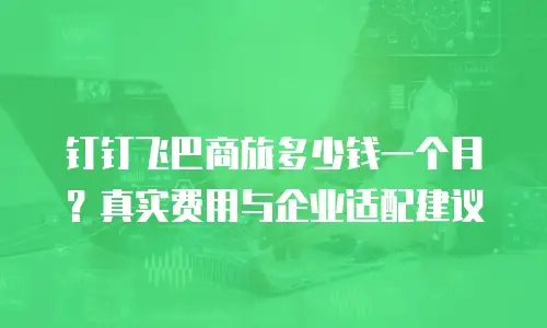 钉钉飞巴商旅多少钱一个月？真实费用与企业适配建议