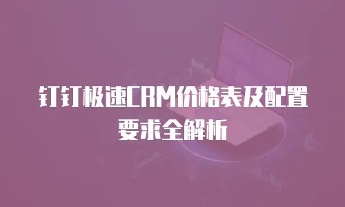 钉钉极速CRM价格表及配置要求全解析