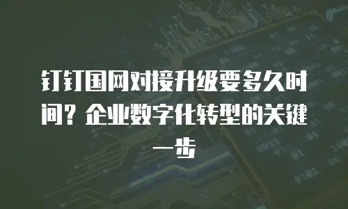 钉钉国网对接升级要多久时间？企业数字化转型的关键一步