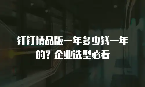 钉钉精品版一年多少钱一年的？企业选型必看