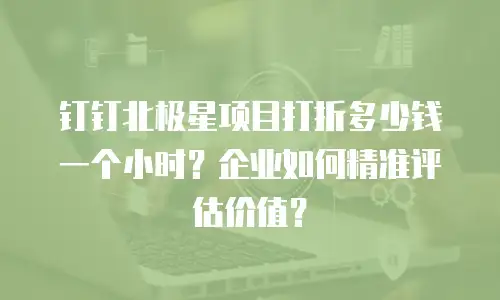 钉钉北极星项目打折多少钱一个小时？企业如何精准评估价值？