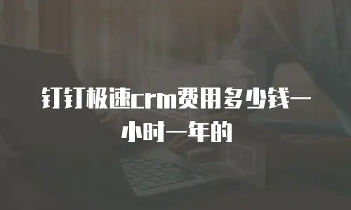 钉钉极速crm费用多少钱一小时一年的