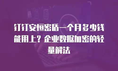 钉钉安恒密盾一个月多少钱能用上？企业数据加密的轻量解法
