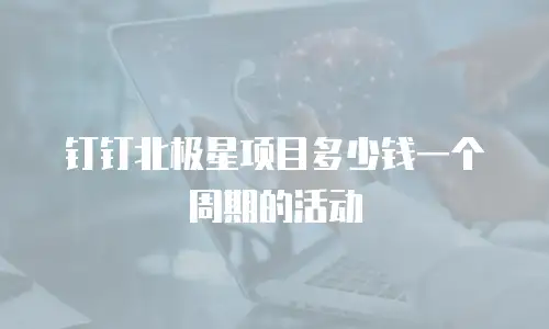 钉钉北极星项目多少钱一个周期的活动