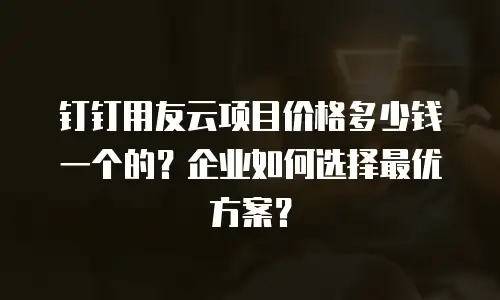 钉钉用友云项目价格多少钱一个的？企业如何选择最优方案？