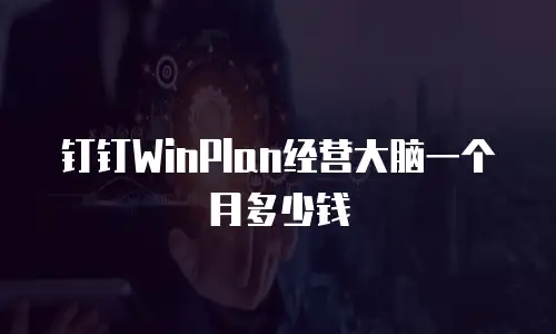 钉钉WinPlan经营大脑一个月多少钱