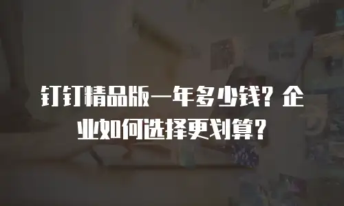 钉钉精品版一年多少钱？企业如何选择更划算？