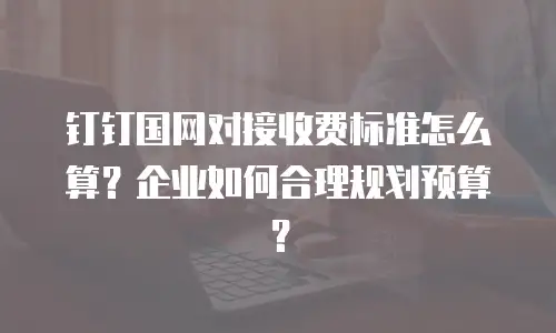 钉钉国网对接收费标准怎么算？企业如何合理规划预算？