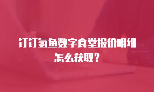 钉钉氢鱼数字食堂报价明细怎么获取？