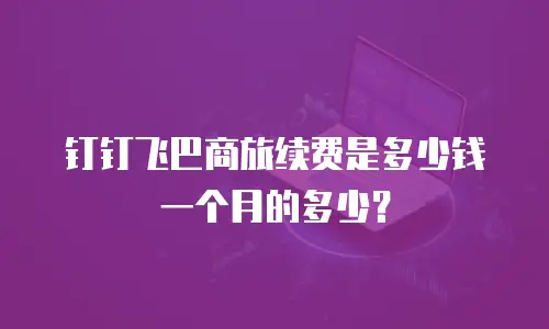钉钉飞巴商旅续费是多少钱一个月的多少？