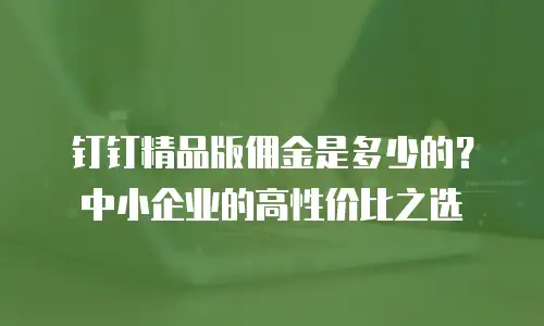 钉钉精品版佣金是多少的？中小企业的高性价比之选