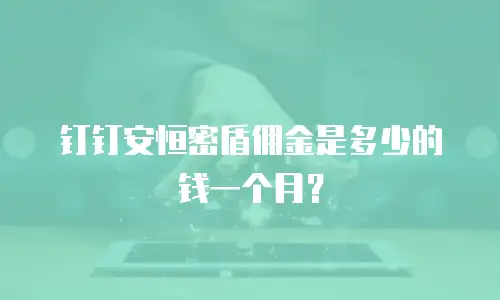 钉钉安恒密盾佣金是多少的钱一个月？