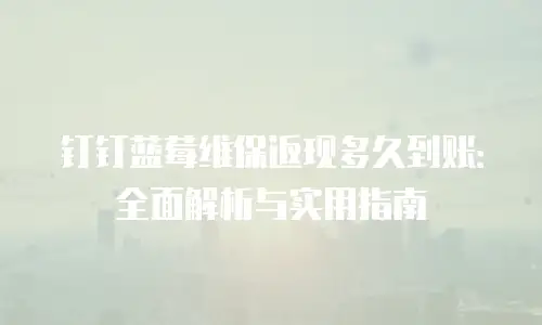 钉钉蓝莓维保返现多久到账：全面解析与实用指南