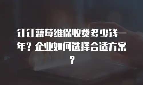 钉钉蓝莓维保收费多少钱一年？企业如何选择合适方案？